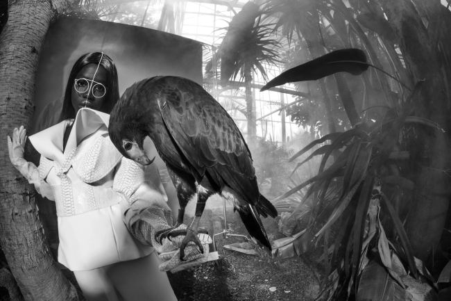 Mauro Lorenzo Fashion Photographer Advertising Campaign studio Hat Cappelli handmade animals cordella botanic Moodboard nature Inspiration artDirector hautecouture new era luxury white jacket editorial