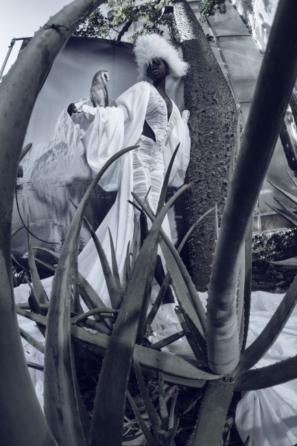 Mauro Lorenzo Fashion Photographer Advertising Campaign studio Hat Cappelli handmade animals cordella botanic Moodboard nature Inspiration artDirector hautecouture new era luxury white jacket editorial