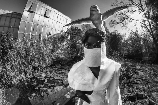 Mauro Lorenzo Fashion Photographer Advertising Campaign studio Hat Cappelli handmade animals cordella botanic Moodboard nature Inspiration artDirector hautecouture new era luxury white jacket editorial