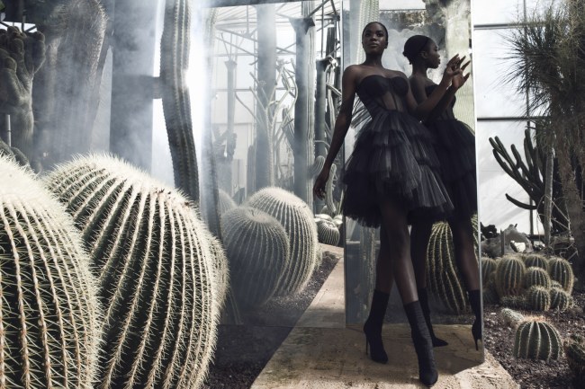 Mauro Lorenzo Fashion Editorial Photographer haute couture  Magazine Agency nature botanic garden press topmodel italian moodboard Inspiration sosud advertising mirror reflection secret