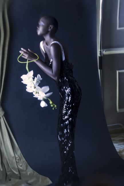 Mauro Lorenzo Fashion Editorial Photographer Studio Fotografia Moda Italiani Man Management Inspiration Moodboard Flower Topbrands Luxury Pretaporter Haute Couture Blackmodel