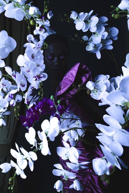 Mauro Lorenzo Fashion Editorial Photographer Studio Fotografia Moda Italiani Man Management Inspiration Moodboard Flower Topbrands Luxury Pretaporter Haute Couture Blackmodel