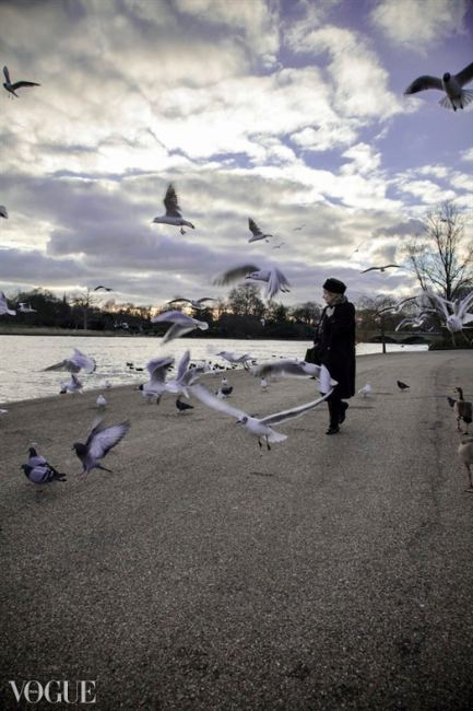 Vogue Italia Mauro Lorenzo Photographer